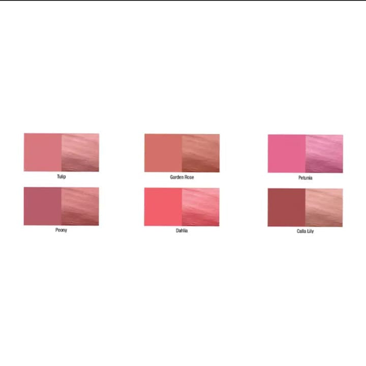 L.A Colors Blush Stick CPD526